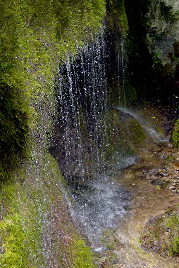 Naturdenkmal Dreimühlen-Waserfall bei Nohn (Vulkaneifel) #6