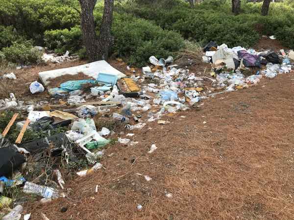 Wilde Mülldeponie im Wald / Foto: Alexander Hauk