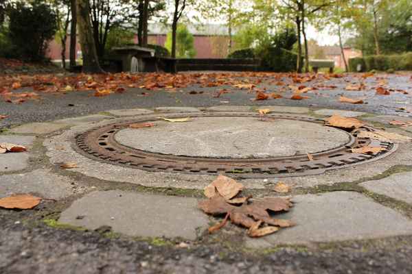 Herbst Gulli