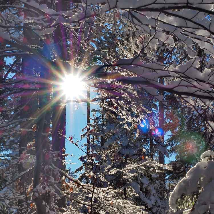 Winterwunderland