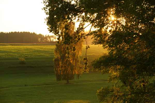 Der Herbstsonne entgegen 1