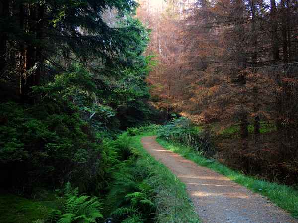 Vorher, Nachher