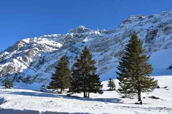 Auf der Schwägalp (Appenzell)
