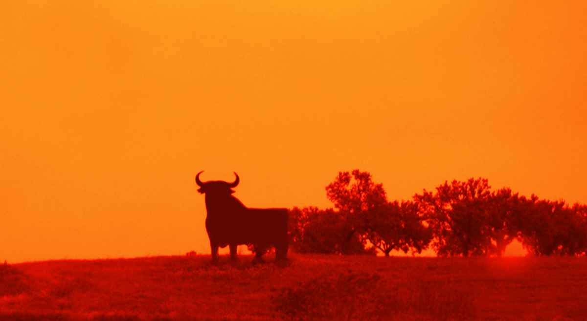 Der bekannteste Spanische Stier