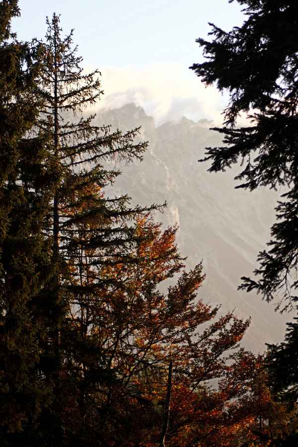  Herbst