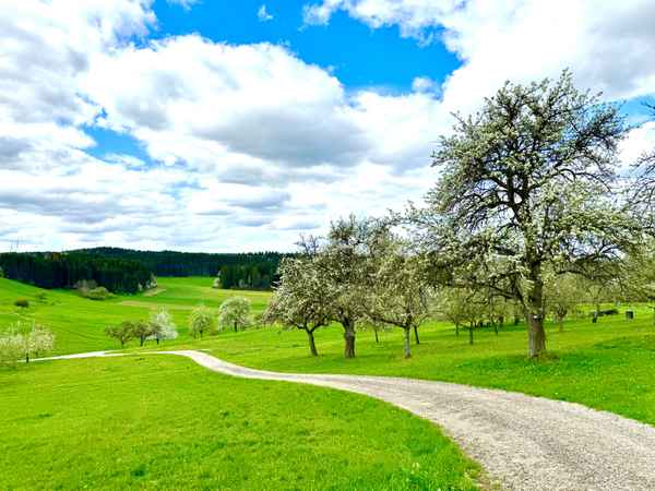 Weg in den Frühling