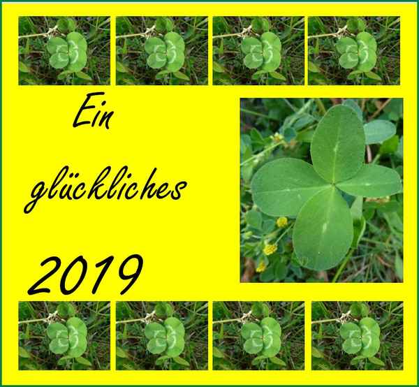 Glückliches 2019