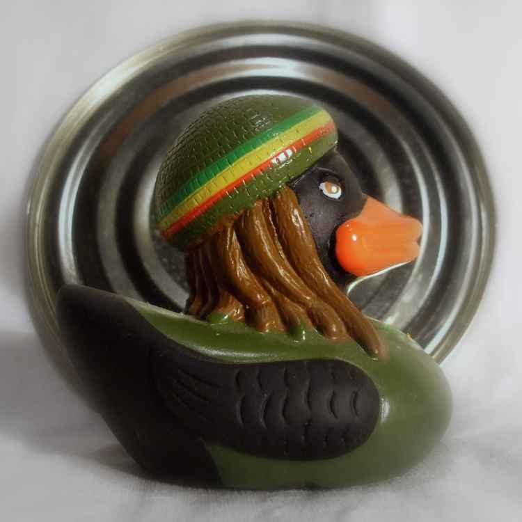 rastaduck 13