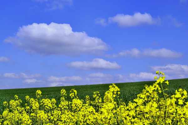 Farben des Aprils