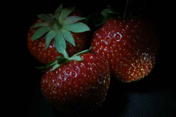 Erdbeeren