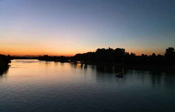 Am Rhein