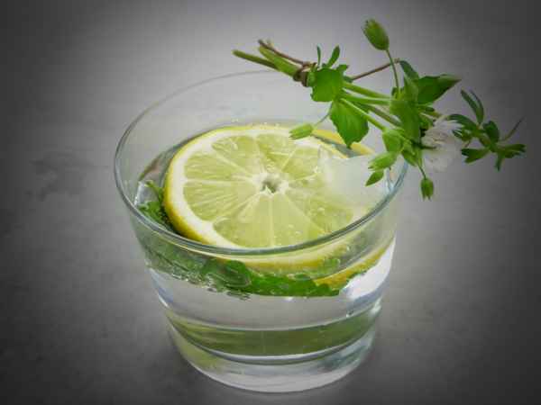 Gin Tonic on Ice