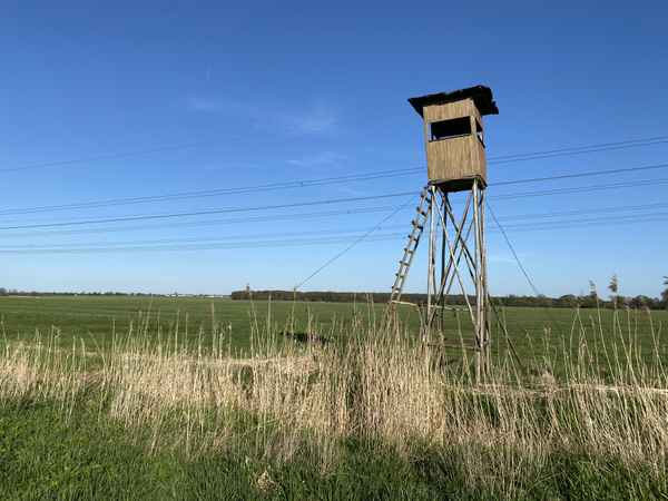 Hochsitz - Jägerstand - Ansitzeinrichtung / Foto: Alexander Hauk