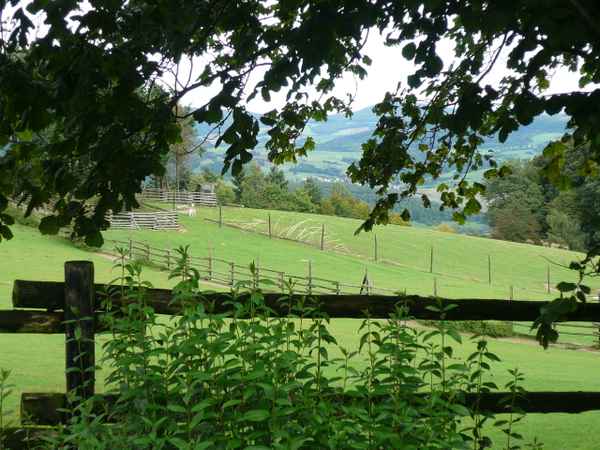 Natur pur mit Weitsicht!