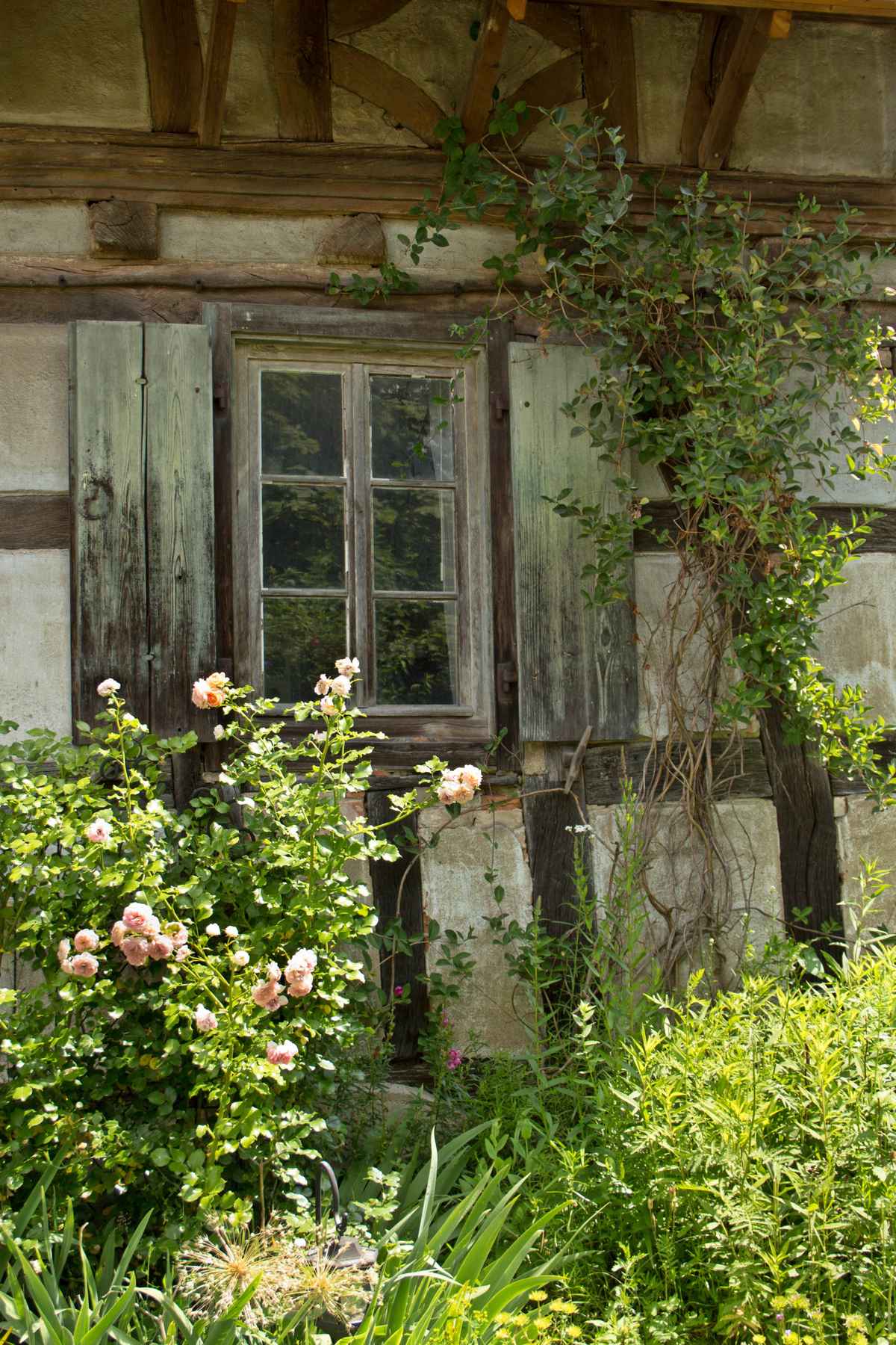 das Fenster zum Hof