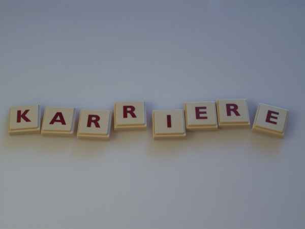 Wortbild Karriere
