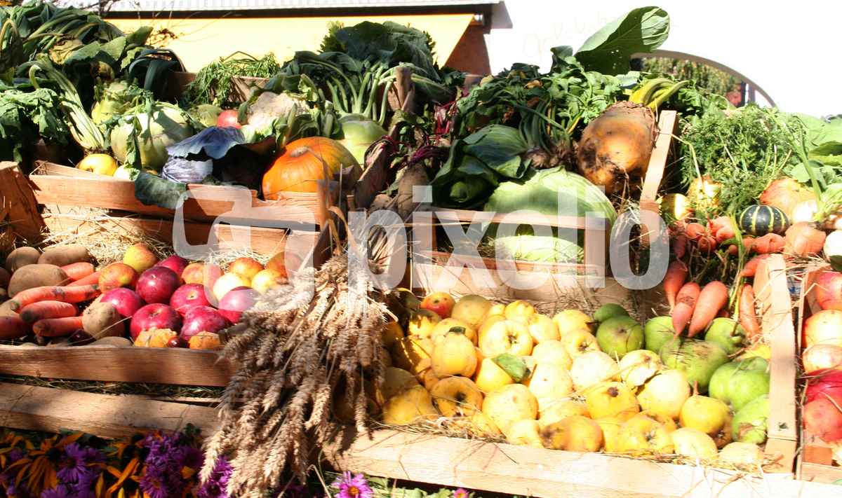 Obst & Gemüse