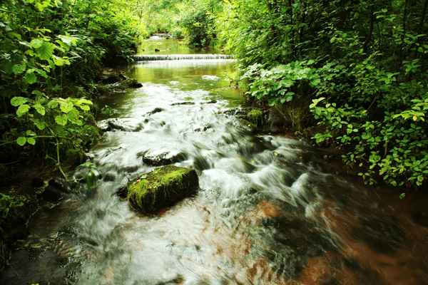Wo die Waldach talwaerts fliesst