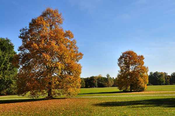  So schön kann der Oktober sein