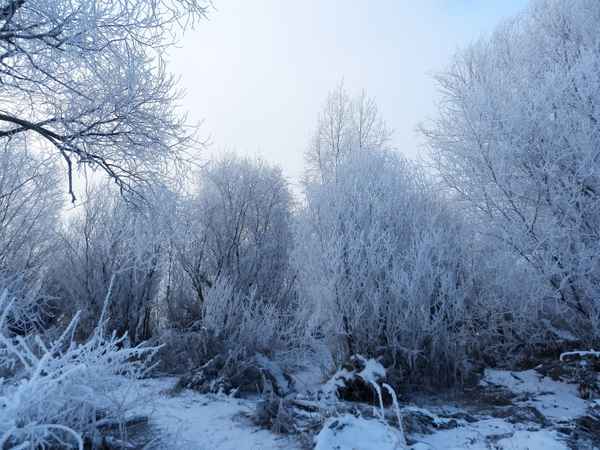 Januarmorgen am Fluss