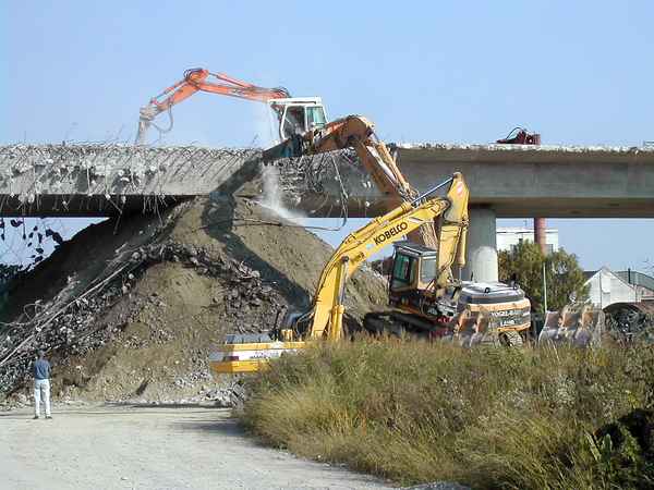 Säg nicht an dem Ast auf dem du sitzt