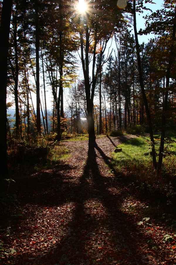Lange Schatten 02