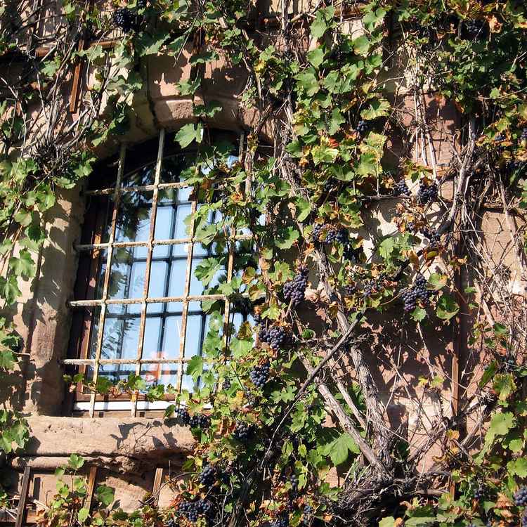 Vergessenes Märchenschloss