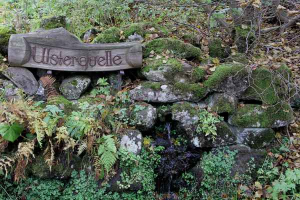 Ulsterquelle in der Rhön