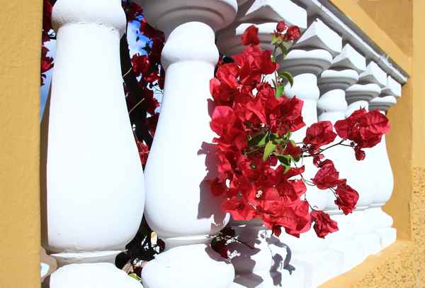 geschmückte Balustrade