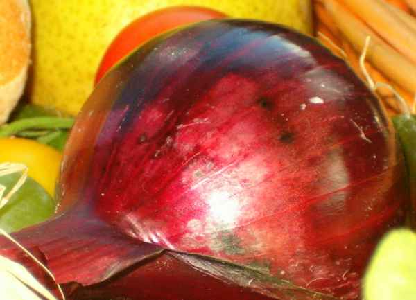 Zwiebel in rot