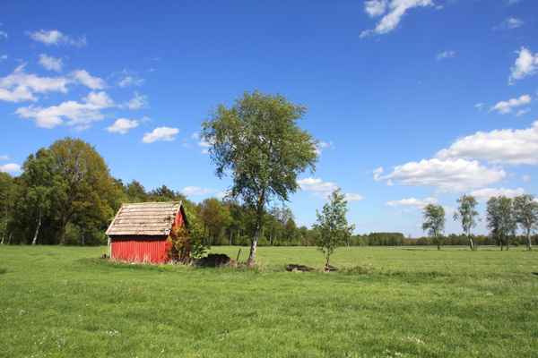 Hütte mit Freiblick 1