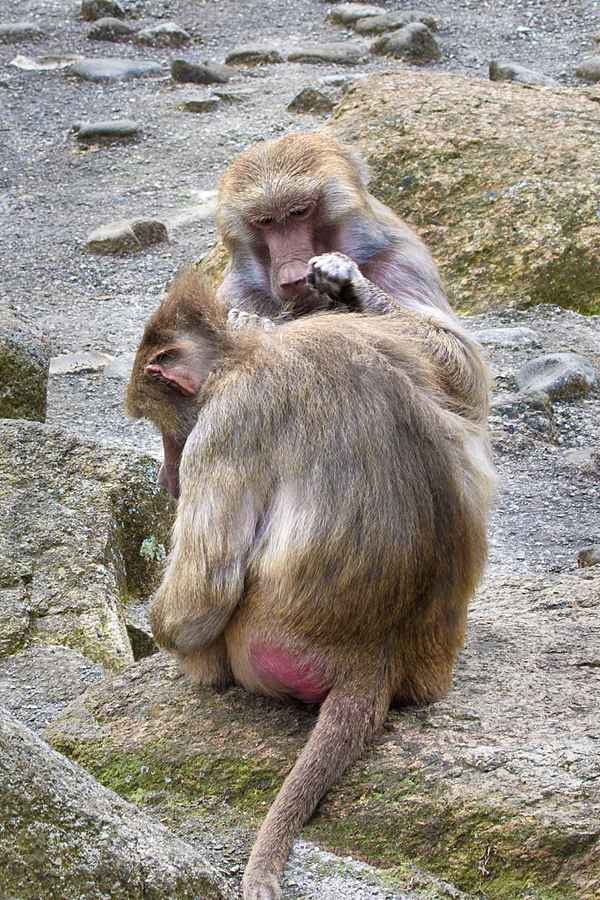 Da war doch noch einer...