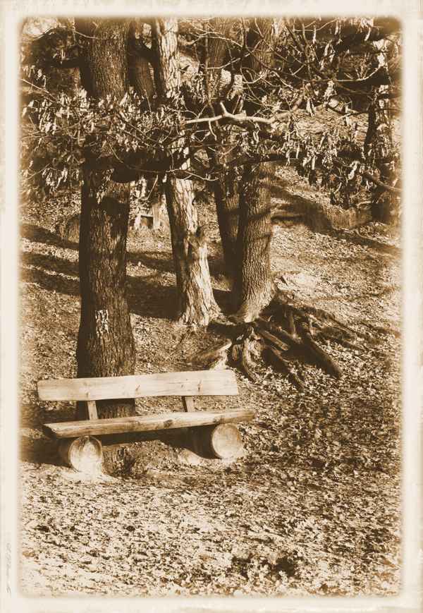 Verschneite Bank (ohne Rahmen)