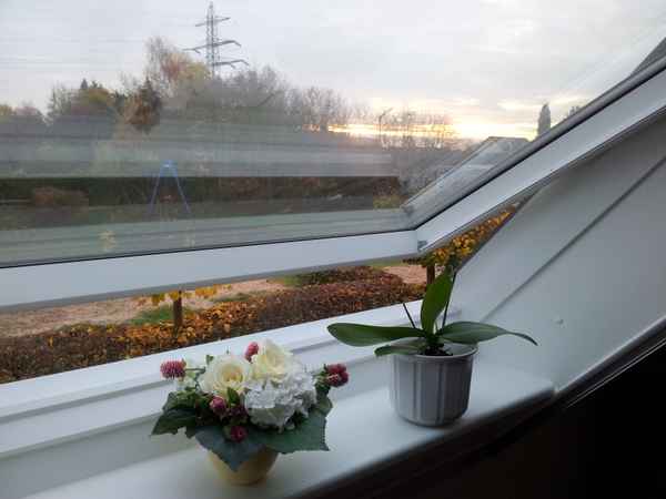 Morgenblick aus dem Fenster