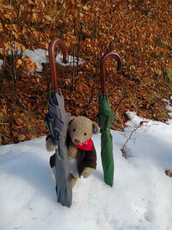 Auf Wanderschaft