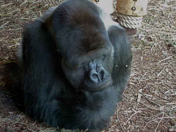 Denker unserer Zeit???