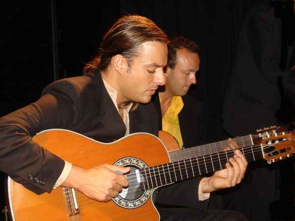Die Gitarren