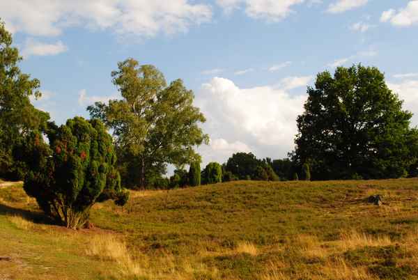 Heideblick 3