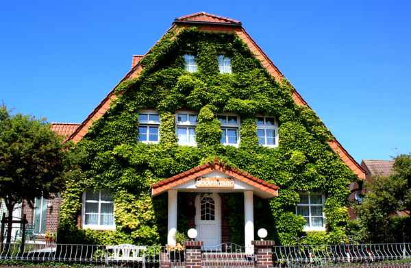 HAUS GODENWIND