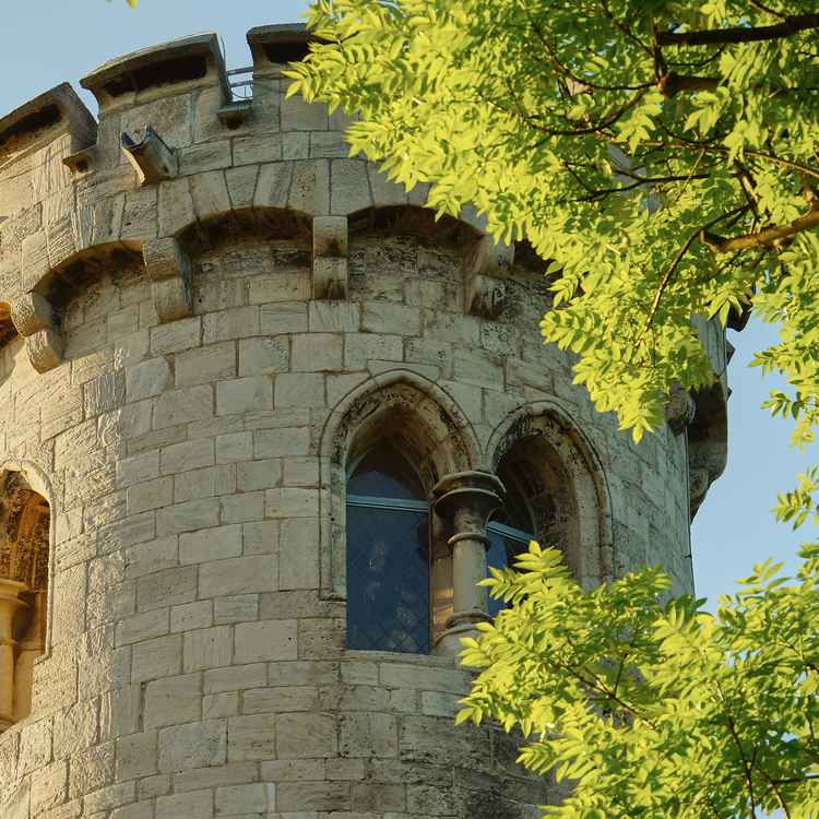 Schönheiten im Burgenlandkreis