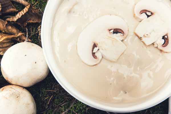 leckere Pilssuppe