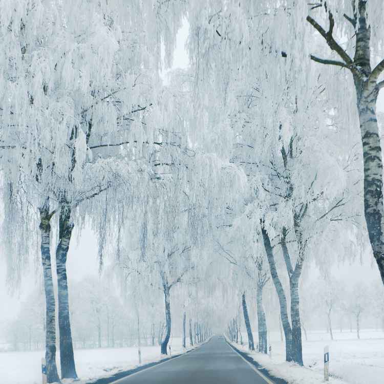 fahrt durch die eiszeit