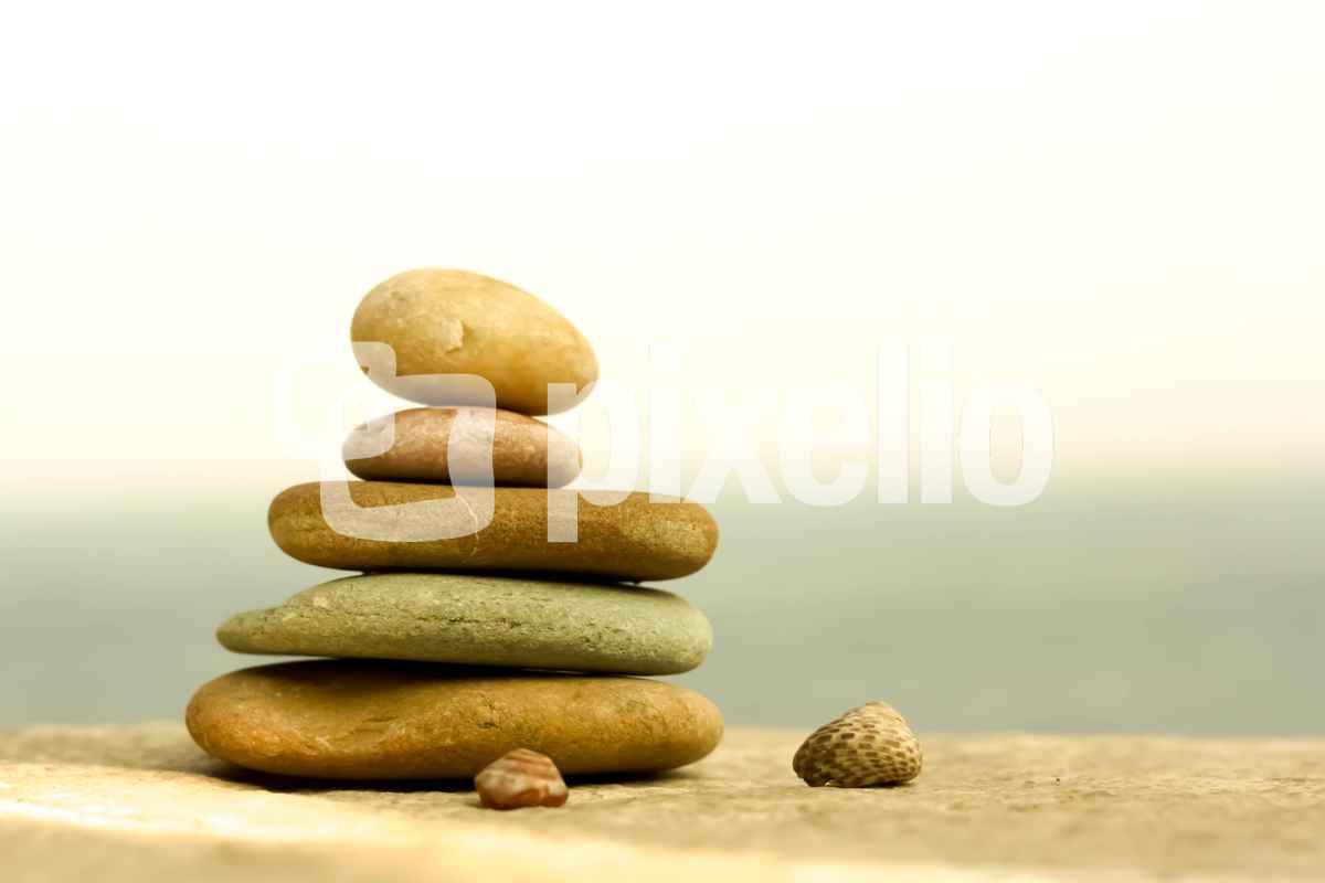 Steine und Schnecken