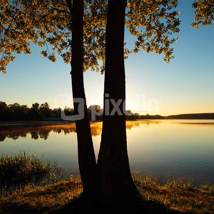 Maiabend am Weiher