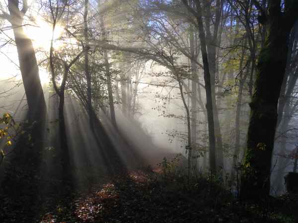 Die Sonne bricht durch