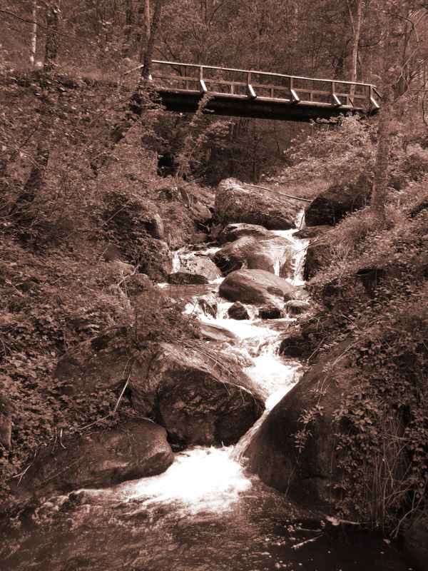 Wo der Wildbach rauscht - antik