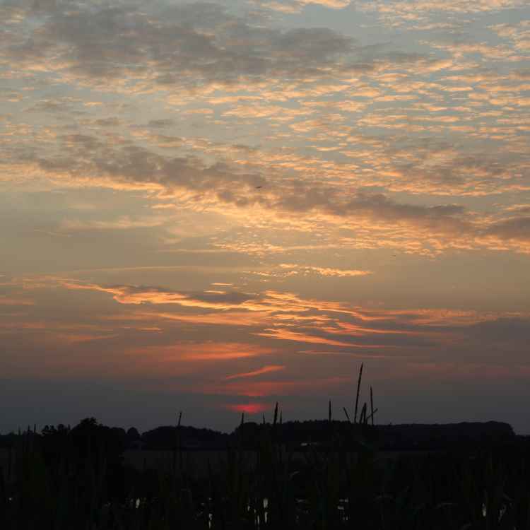 Sonnenuntergang &uuml;ber Basdorf in Schleswig-Holstein