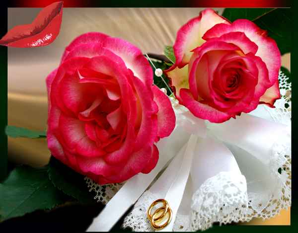 Rote Rosen, rote Lippen