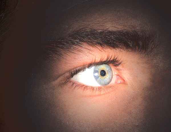 Auge