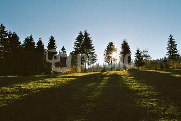 Reiseaufbruch in die Morgensonne